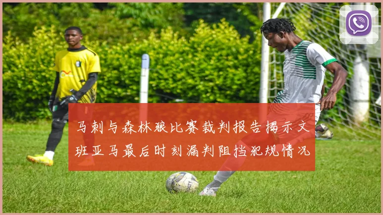 马刺与森林狼比赛裁判报告揭示文班亚马最后时刻漏判阻挡犯规情况